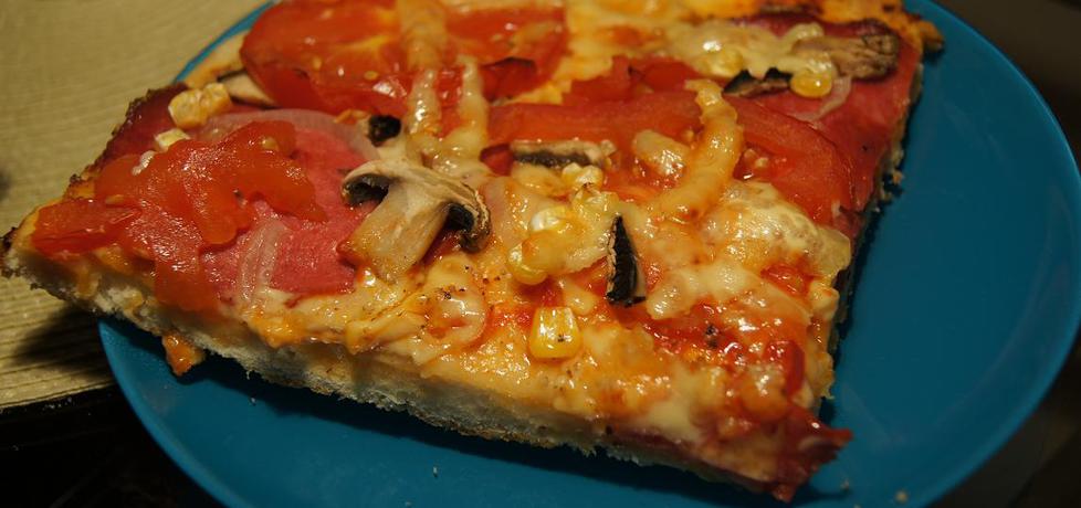 Pizza z salami, pieczarkami i serem gouda (autor: iza0823 ...