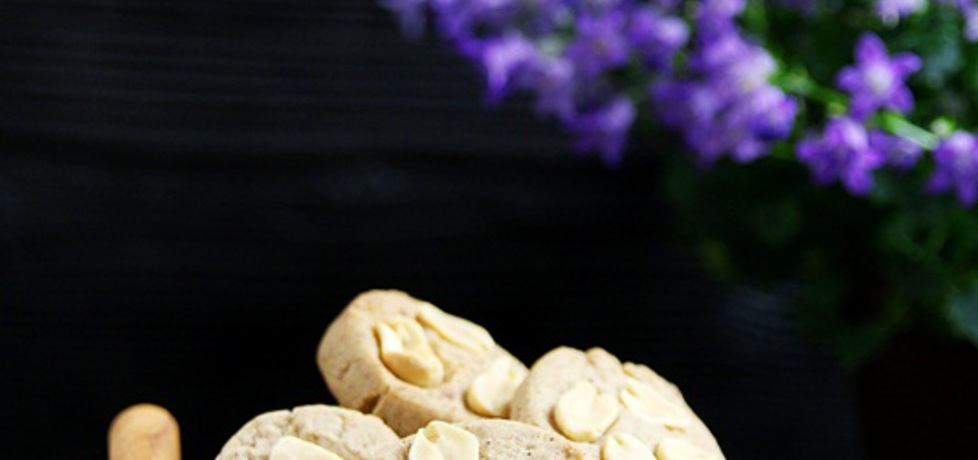 Ciasteczka korzenne z orzeszkami (autor: apm)