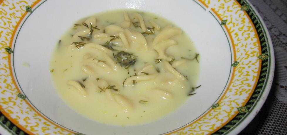 Zupa koperkowa z makaronem (autor: halina17)