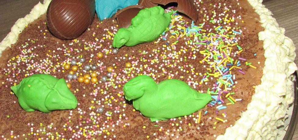 Tort wyspa dinozaurów (autor: benita)