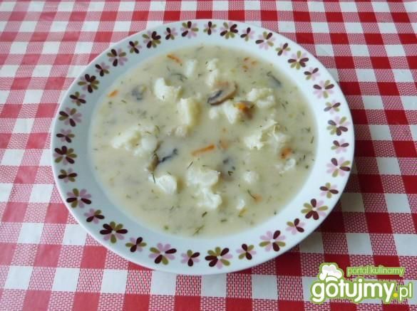 Jak zrobić zupa kalafiorowa z pieczarkami ? gotujmy.pl