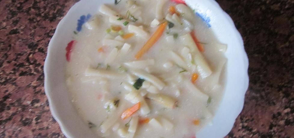 Zupa jarzynowa z makaronem (autor: halina17)