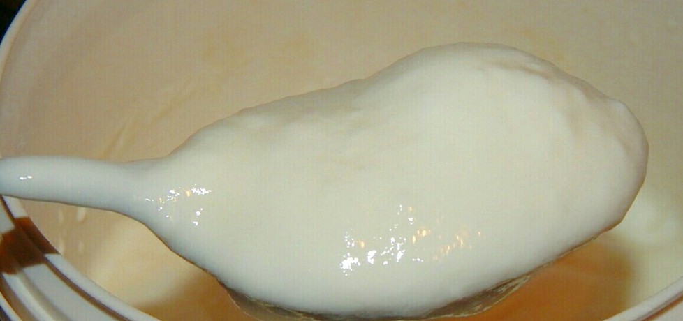 Jogurt naturalny a'la grecki (autor: habibi)