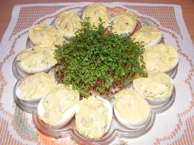 Jajka faszerowane szynką konserwową i rzeżuchą