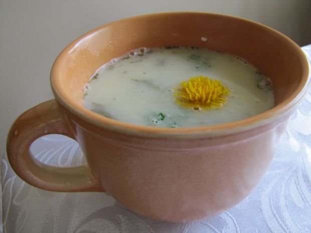 Zupa szczawiowa  składniki