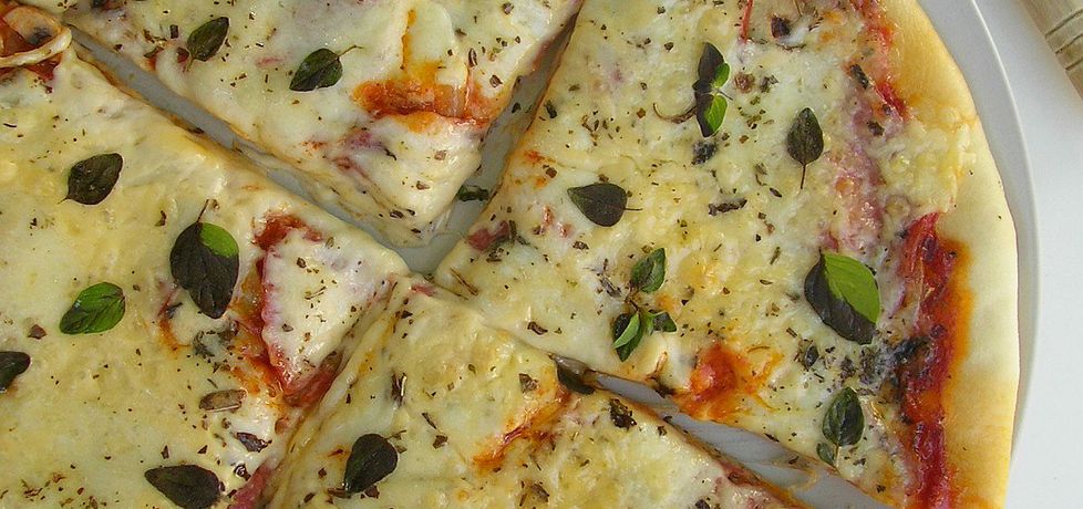 Pizza z salami, pieczarkami i mozzarellą (autor: ola1984 ...