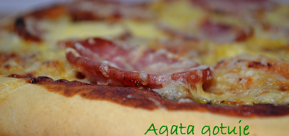 Pizza studencka (autor: zolzica)