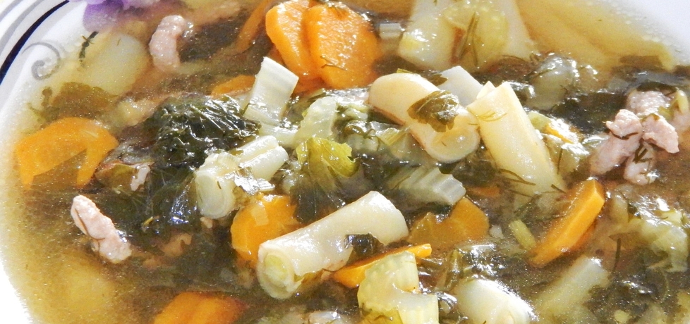 Zupa warzywna z fasolką szparagową i mieloną wieprzowiną (autor ...