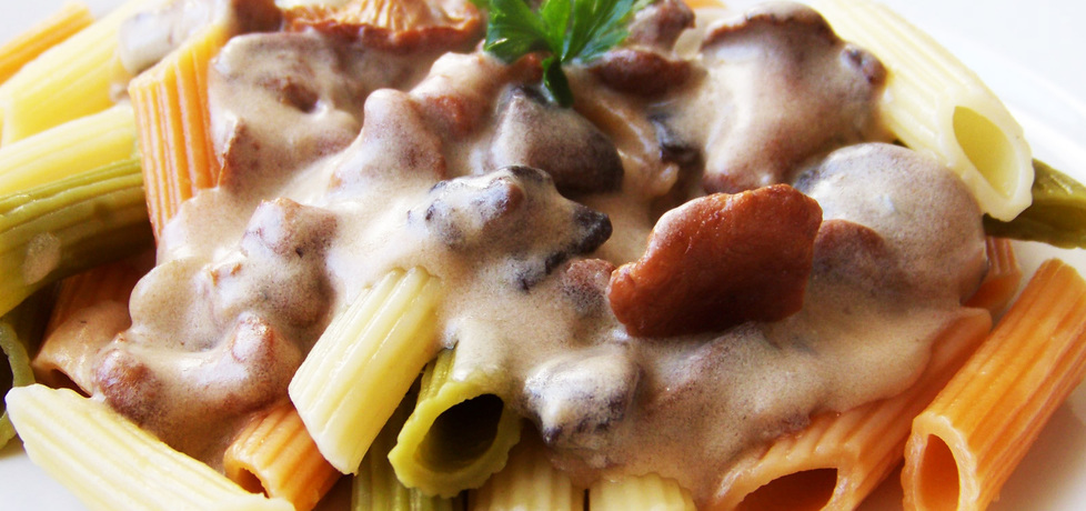 Penne tricolore w sosie grzybowo