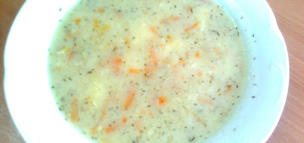 Koperkowa zupa oszczędna (autor: danusia19671 ...