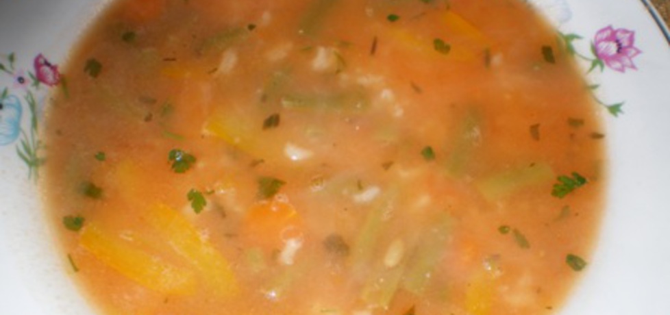 Zupa pomidorowa z papryką, fasolką i ryżem (autor: ilka86 ...