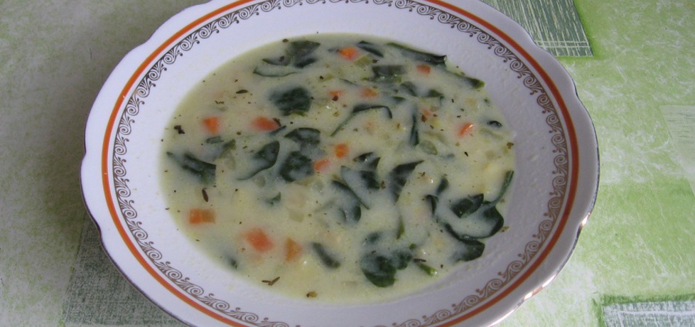 Zupa warzywna ze szpinakiem (autor: ania321)
