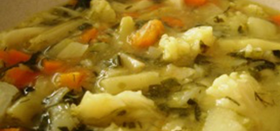 Letnia zupa jarzynowa (autor: leeaa)