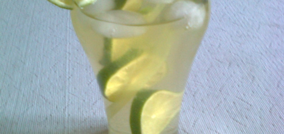 Drink ziołowy z limonką (autor: katarzyna59)