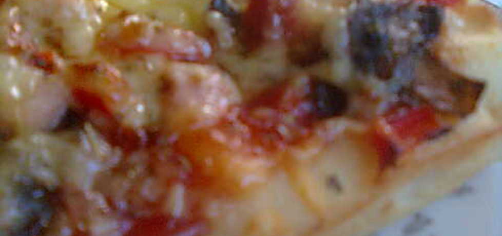 Ciasto na pizzę-chrupiące (autor: katarzyna124)