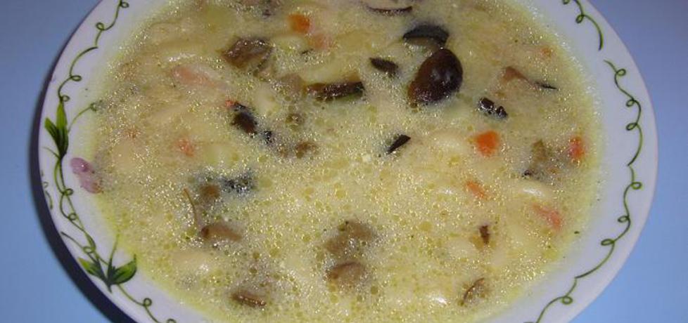 Zupa grzybowa z makaronem (autor: nataliatubisiek ...