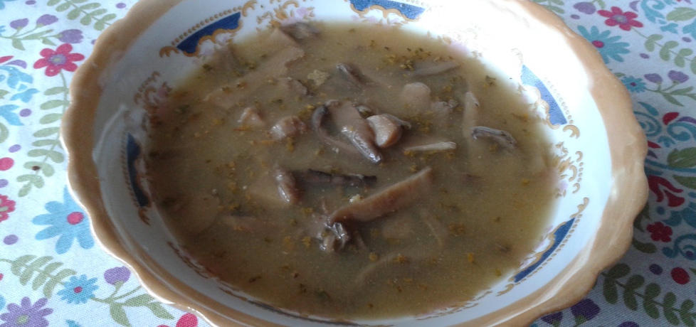 Pikantna zupa z boczniaków (autor: wwwiolka)