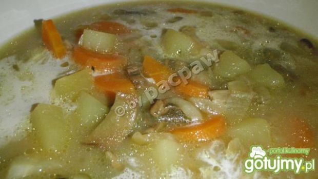 Przepis  zupa grzybowa z cebulką i warzywami przepis