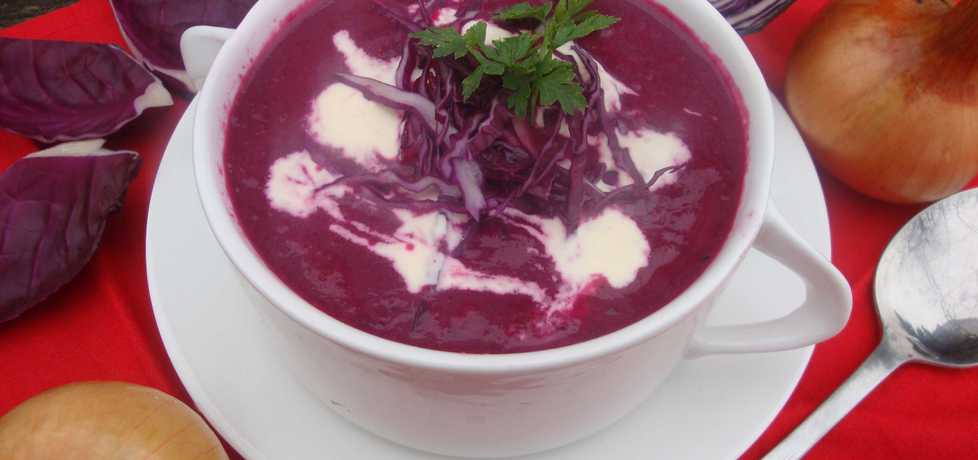 Różowa zupa zakochanych lub po prostu zupa z czerwonej kapusty ...
