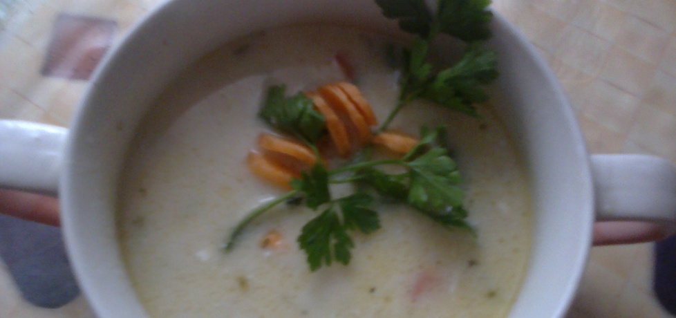 Delikatna zupa fasolowa (autor: ela15)