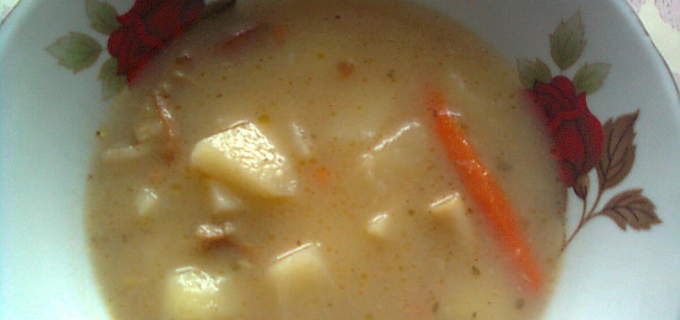 Zupa z marynowanych grzybów (autor: emilia22)
