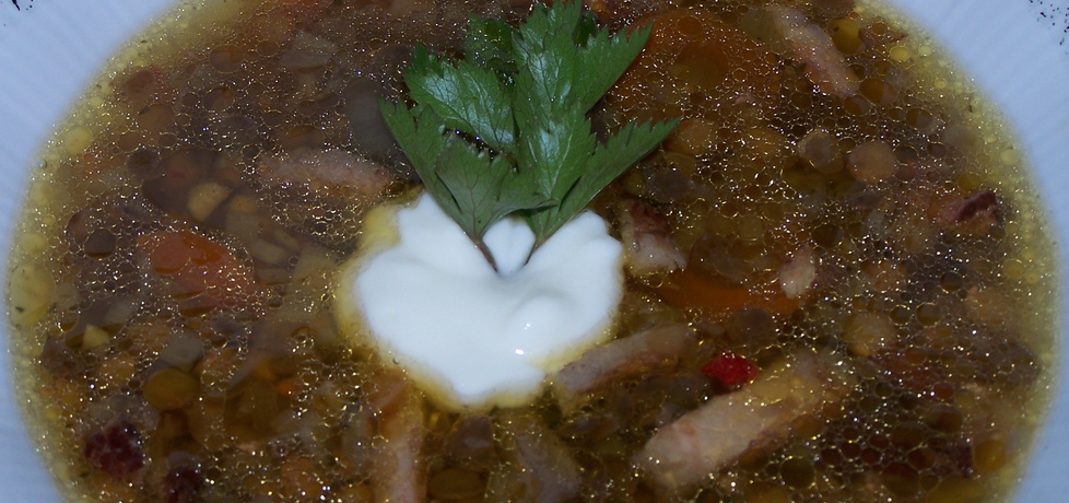 Odkrywanie nowych smaków, czyli zupa z zielonej soczewicy ...