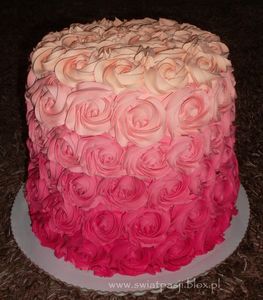 Tort ombre rose