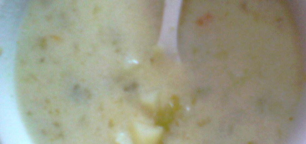 Zupa ogórkowa z czosnkiem (autor: jola1508)