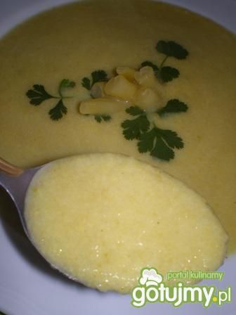 Smaczny przepis na: zupa krem z fasolki szparagowej. gotujmy.pl