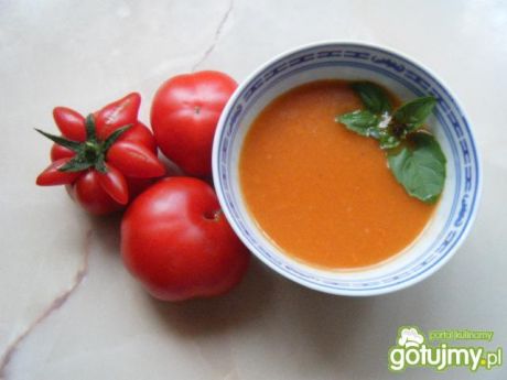 Przepis  szybki sos pomidorowy przepis