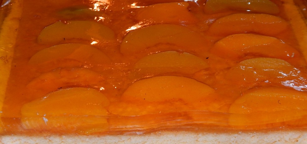 Sernik gotowany w biszkopcie (autor: habibi)