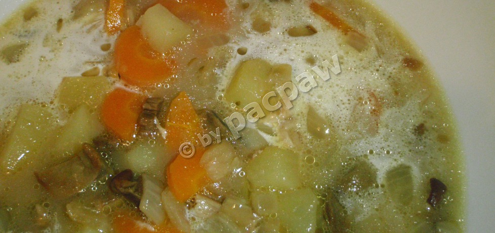 Zupa grzybowa z cebulką i warzywami (autor: pacpaw ...
