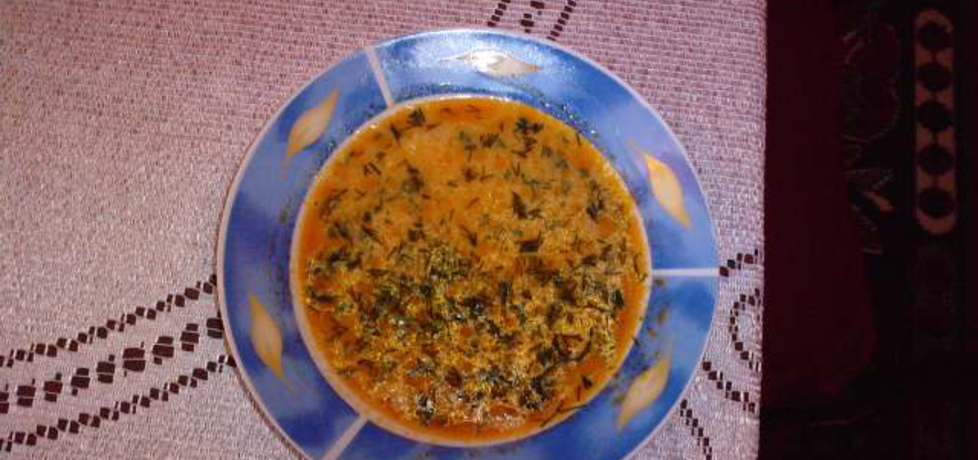 Zupa pomidorowa na rosole wołowym (autor: halina17 ...