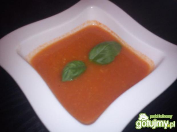 Przepis  zupa ze świeżych pomidorów, przepis