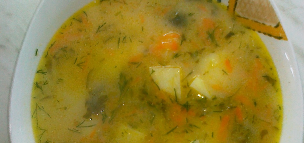 Zupa ogórkowa z koperkiem i ziemniakami (autor: lukrecja29 ...