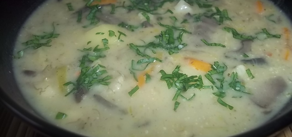 Zupa grzybowo-jarzynowa (autor: beatris)