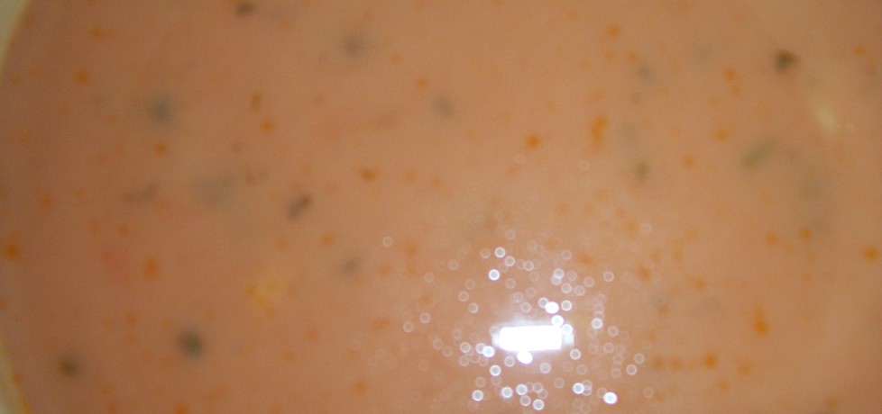 Pikantna zupa meksykańska (autor: beata73)