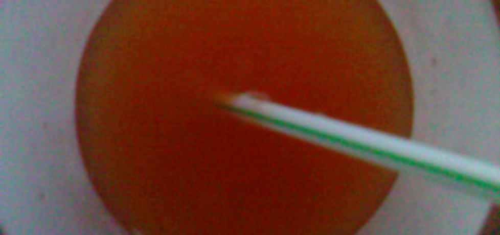 Drink pomarańczowo