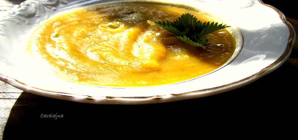Zupa krem z pieczonej dyni z pokrzywą (autor: caralajna ...
