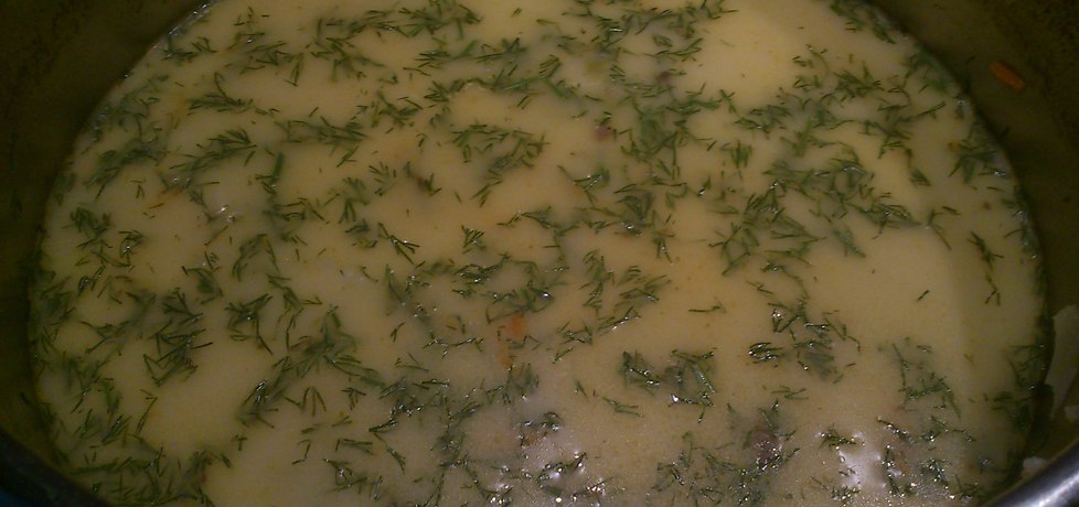 Szybka zupa koperkowa (autor: wwwiolka)