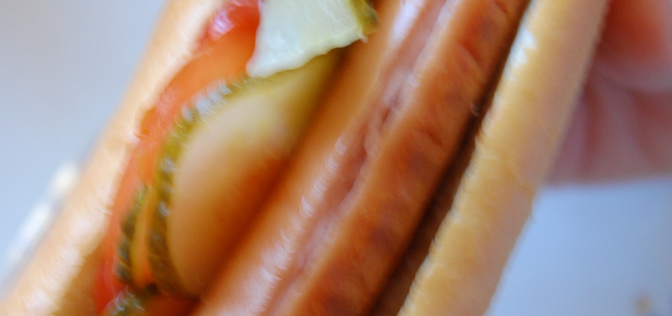 Hot-dog z grilla (autor: aleksandraolcia)