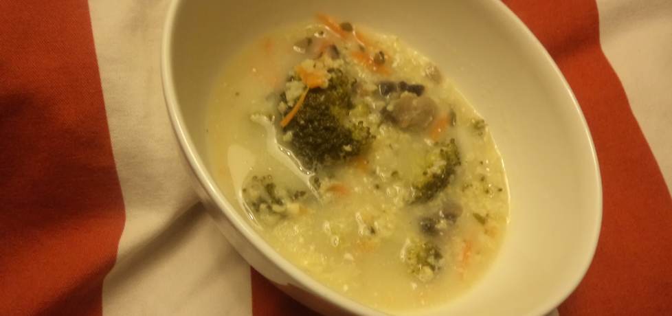 Zupa z brokułem ,pieczarkami i kaszą jaglaną:) (autor: norweska20 ...
