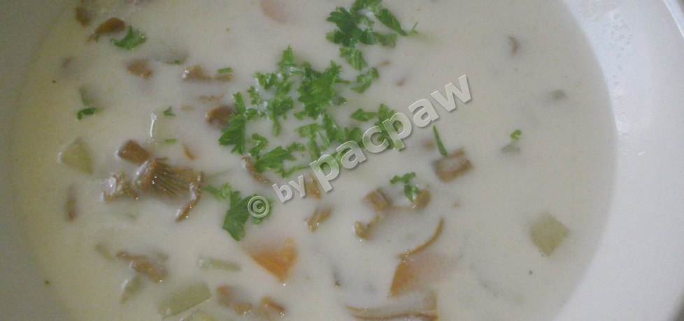 Zupa kurkowa (autor: pacpaw)