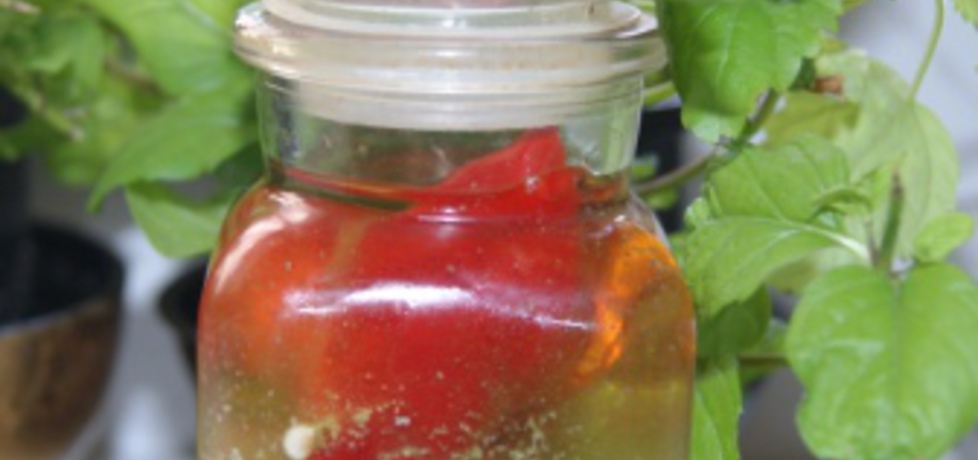 Papryczki chili w oleju z zieloną salsą (autor: babciagramolka ...