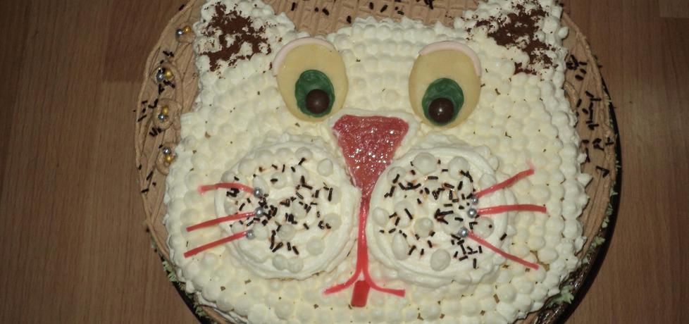 Tort kotek (autor: benita)