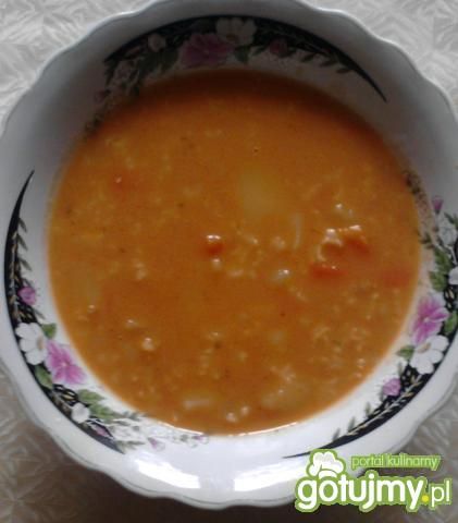 Przepis  zupa pomidorowa z ryżem(8) przepis
