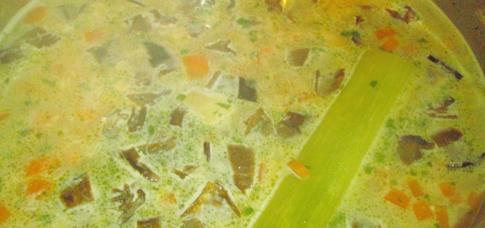 Zupa grzybowo-warzywna (autor: emiliozo)