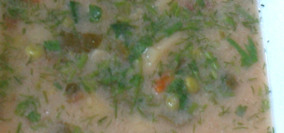 Zupa wiosenna (autor: janina)