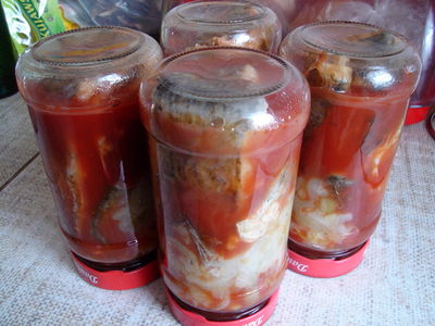 Ryby w sosie pomidorowym w słoikach