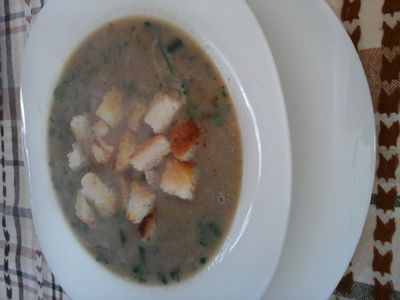 Zupa krem z borowików